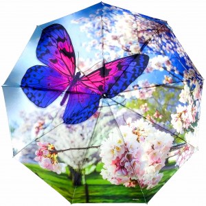 Зонтик женский с бабочкой, River, автомат, арт.5002-2